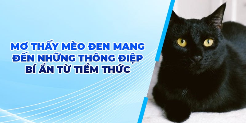 Mơ Thấy Mèo Đen - Cùng RR88 Vén Màn Bí Ẩn Đằng Sau Giấc Mộng 1 Mơ thấy mèo đen mang đến những thông điệp bí ẩn từ tiềm thức